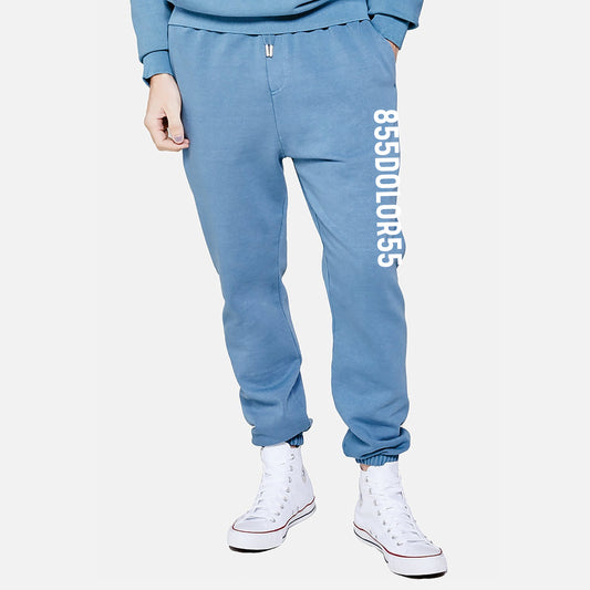 Urban Joggers (Blue)